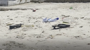 U napadu na plaži 32 žrtve